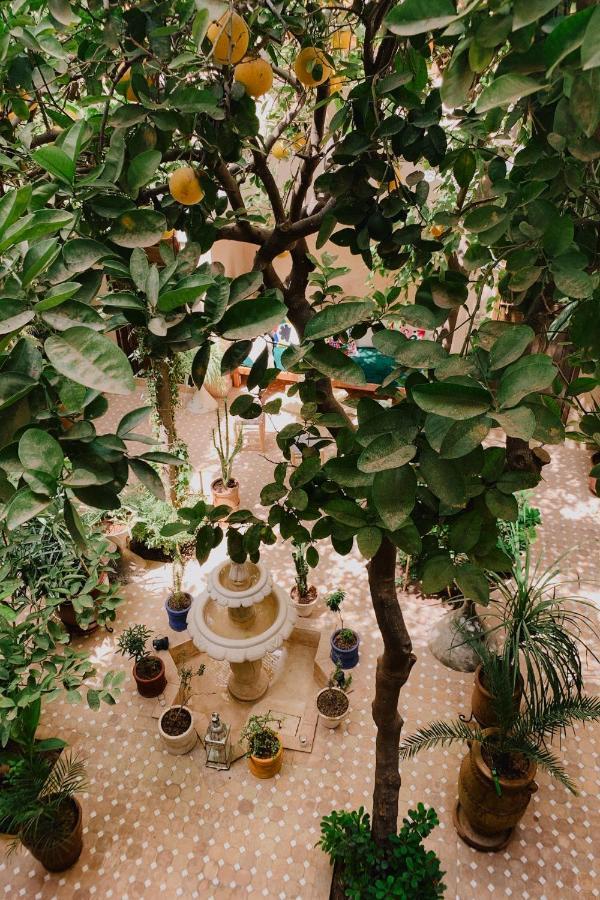 Riad Maison 24 Марракеш Экстерьер фото